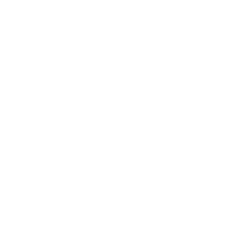 GitHub Profile